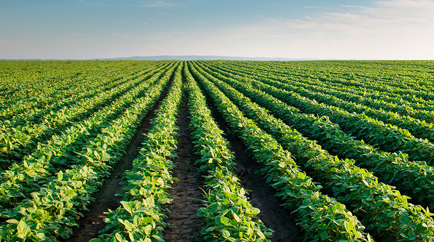 Algunos legisladores nacionales quieren la reducción progresiva de las retenciones al agro