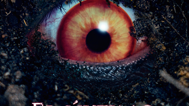 «El último conjuro»,  la película  de terror del japonés Nakata llega este jueves