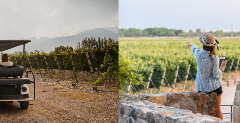 Mendoza: las vacaciones de invierno se disfrutan en Finca Bandini