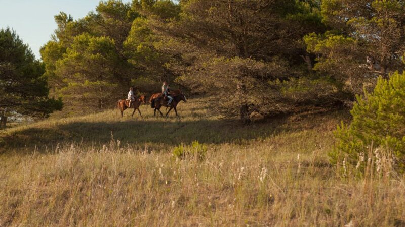Dia Internacional de los Parques Naturales: promover la conciencia para su protección