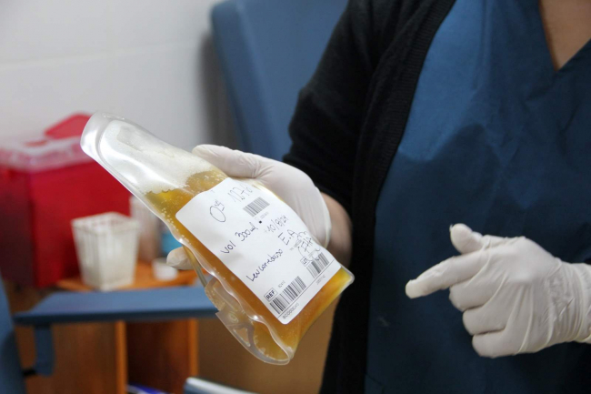 Tuvo fiebre hemorrágica y ahora su plasma permite salvar a 50 personas por año