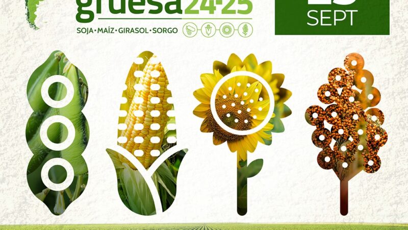 Se lanza la Campaña Gruesa 2024/25🌱🌽🌻