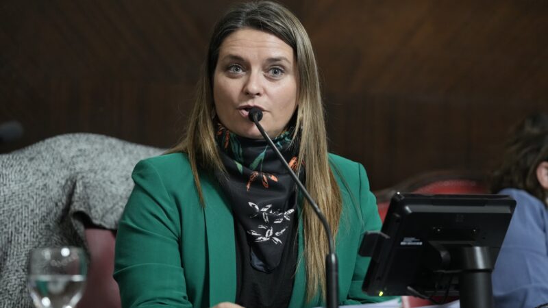 Neumann Losada preocupada  por el servicio ferroviario