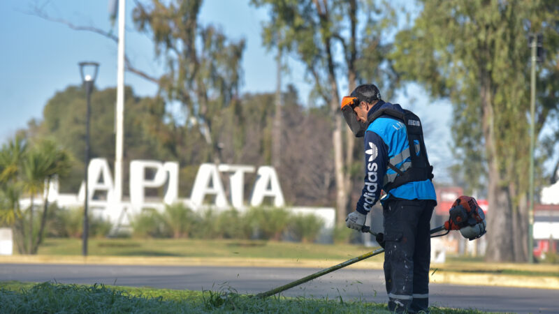 La Plata: hidrogrúas, camiones y un megaoperativo para limpiar la rotonda