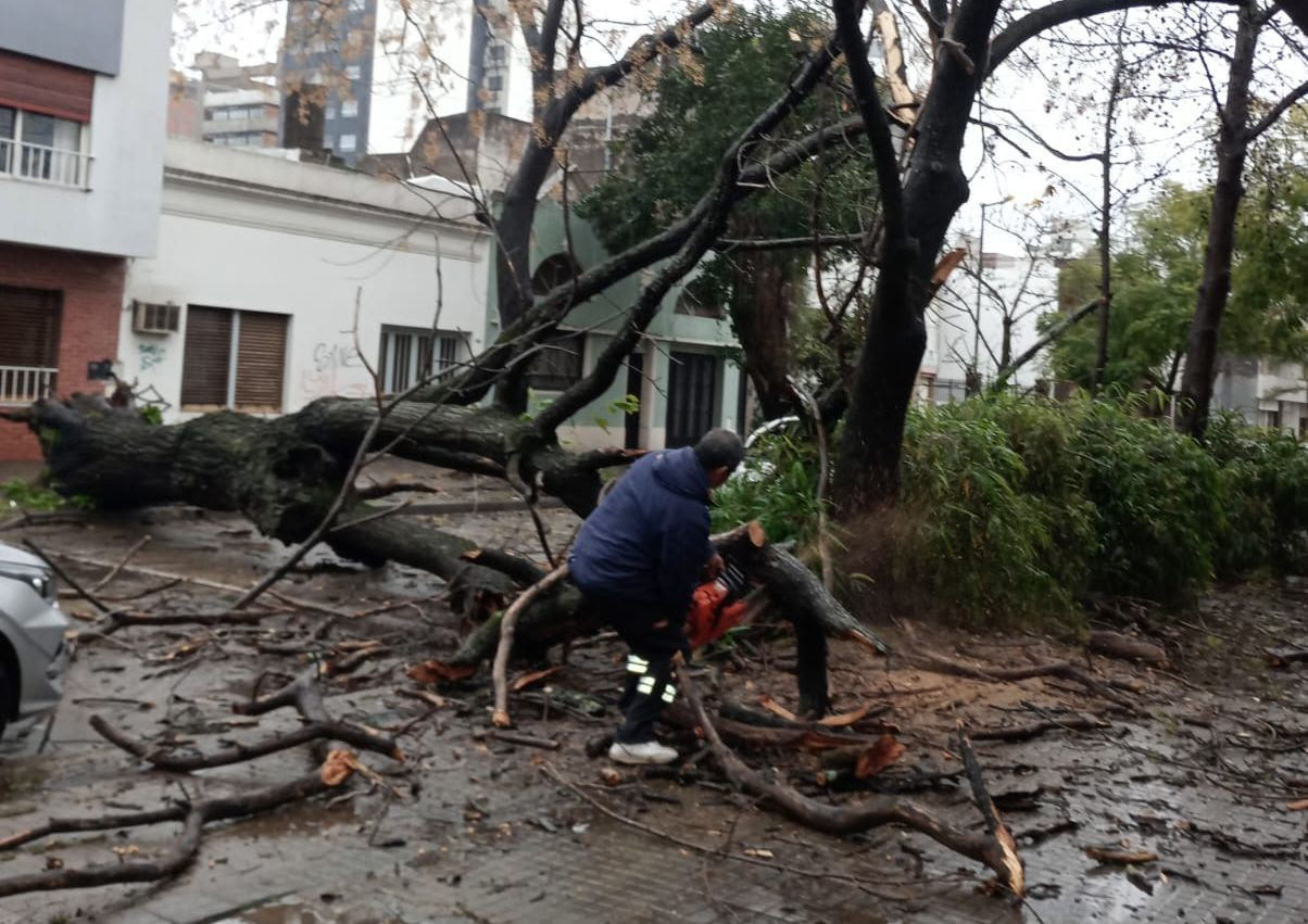 La Plata: cayeron 100 milímetros, no hubo evacuados y cesó el alerta amarillo