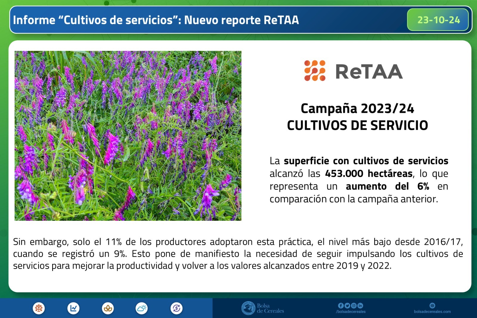 La superficie con cultivos de servicios alcanzó las 453.000 hectáreas