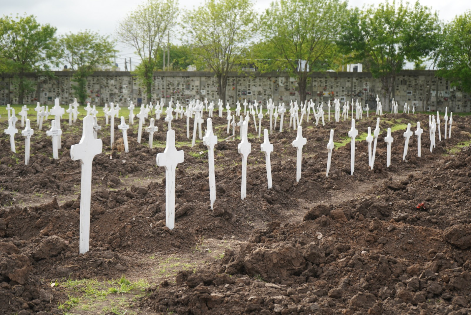 La Plata: el municipio finalizó la inhumación de 472 ataúdes abandonados