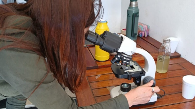 La Plata se capacita en la gestión de cianobacterias con un taller de monitoreo y prevención