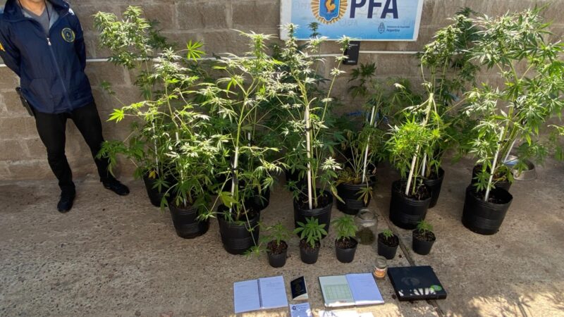 Incautan más de 100 kilos de marihuana