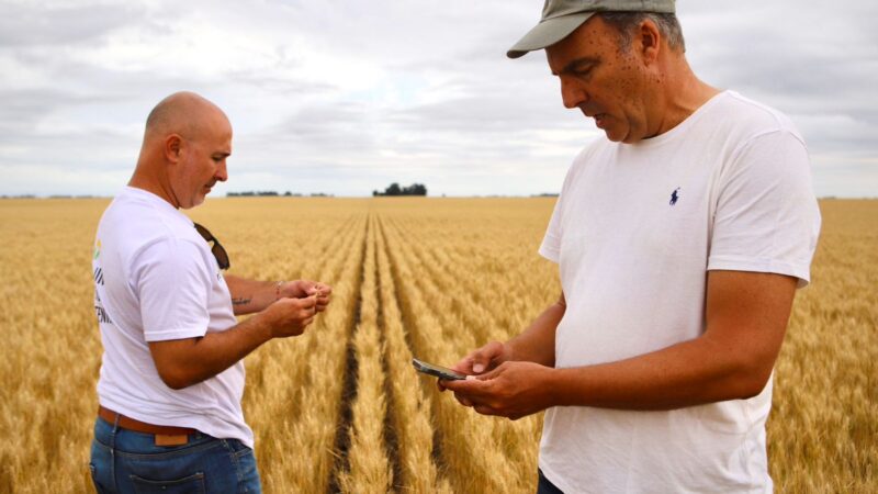 Resultados destacados de la 12° edición del AGROTOUR organizado por la Bolsa de Cereales de Bahía Blanca y la Cámara Arbitral de Cereales