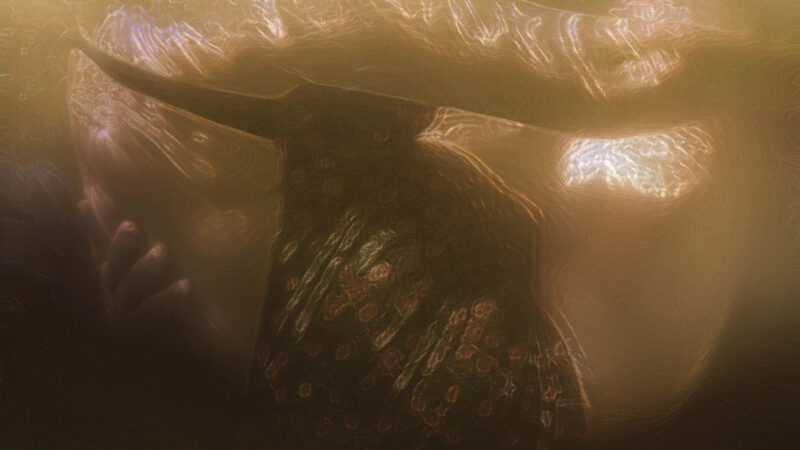 El 7 de noviembre se estrena «Oda amarilla», una película de Lucía Paz