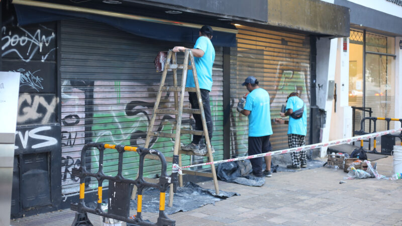 «Ciudad Limpia»: La Plata ya recuperó casi 2000 frentes vandalizados