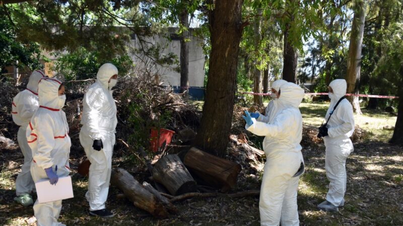 Innovación y práctica al servicio de la Justicia en la UCALP