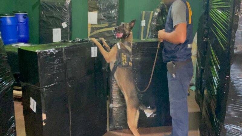 Misiones: la Policía Federal secuestró marihuana oculta en encomiendas