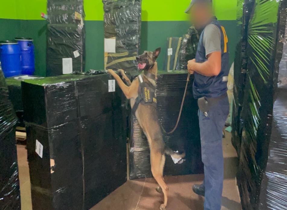 Misiones: la Policía Federal secuestró marihuana oculta en encomiendas