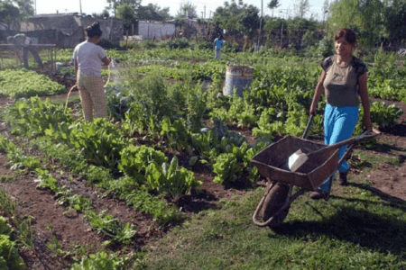 El gobierno bonaerense apoya la agricultura familiar