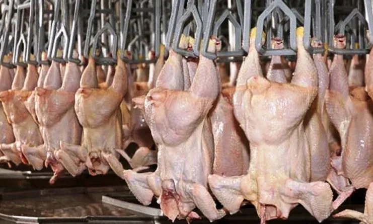 La Argentina exporta carne aviar y porcina a Filipinas