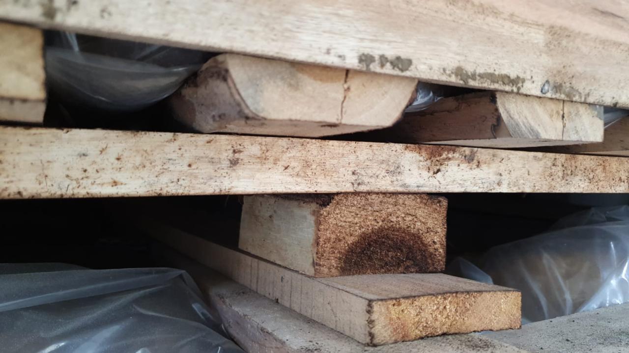 El Senasa evitó el ingreso de insectos cuarentenarios que llegaron en embalajes de madera de importación