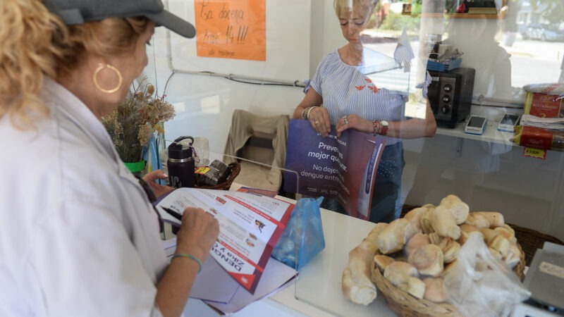La Plata: refuerzan los programas de salud para prevenir la propagación del dengue