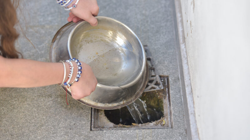 Dengue: solicitan eliminar el agua acumulada en recipientes tras las últimas lluvias en La Plata