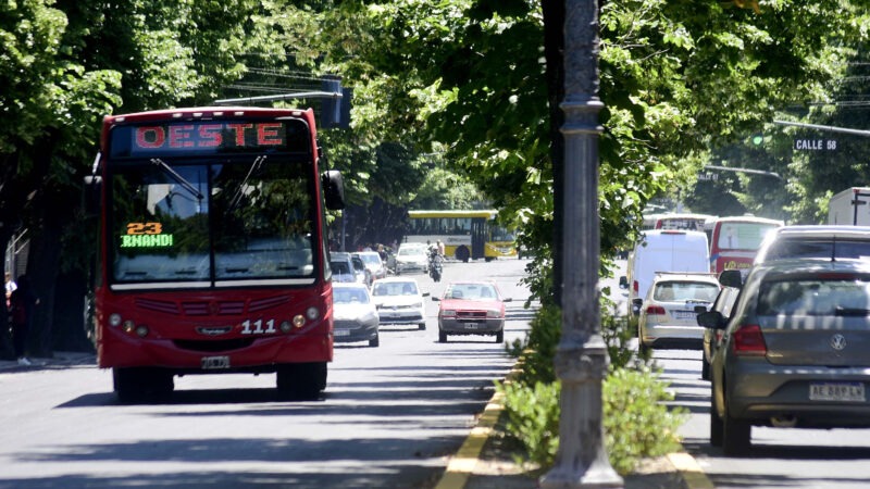 La Plata: así funcionarán los servicios comunales durante el Carnaval