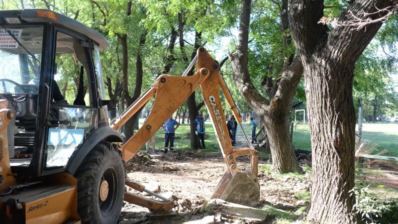 La Plata: demolieron un quincho emplazado en el parque San Martín y recuperaron espacio público