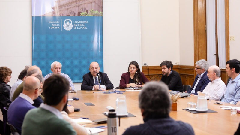 La UNLP creó la Mesa de Tierras Raras