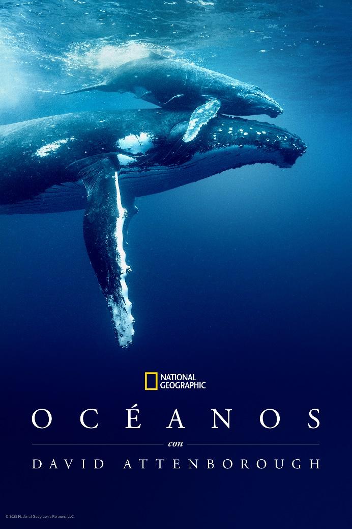 National Geographic presenta Océanos con David Attenborough el 8 de junio en Disney+