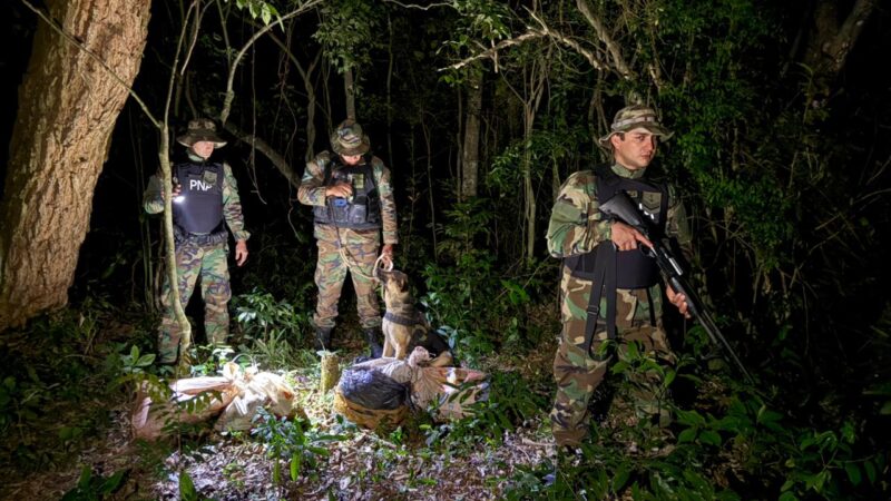 Secuestran más de 50 kilos de droga en Misiones