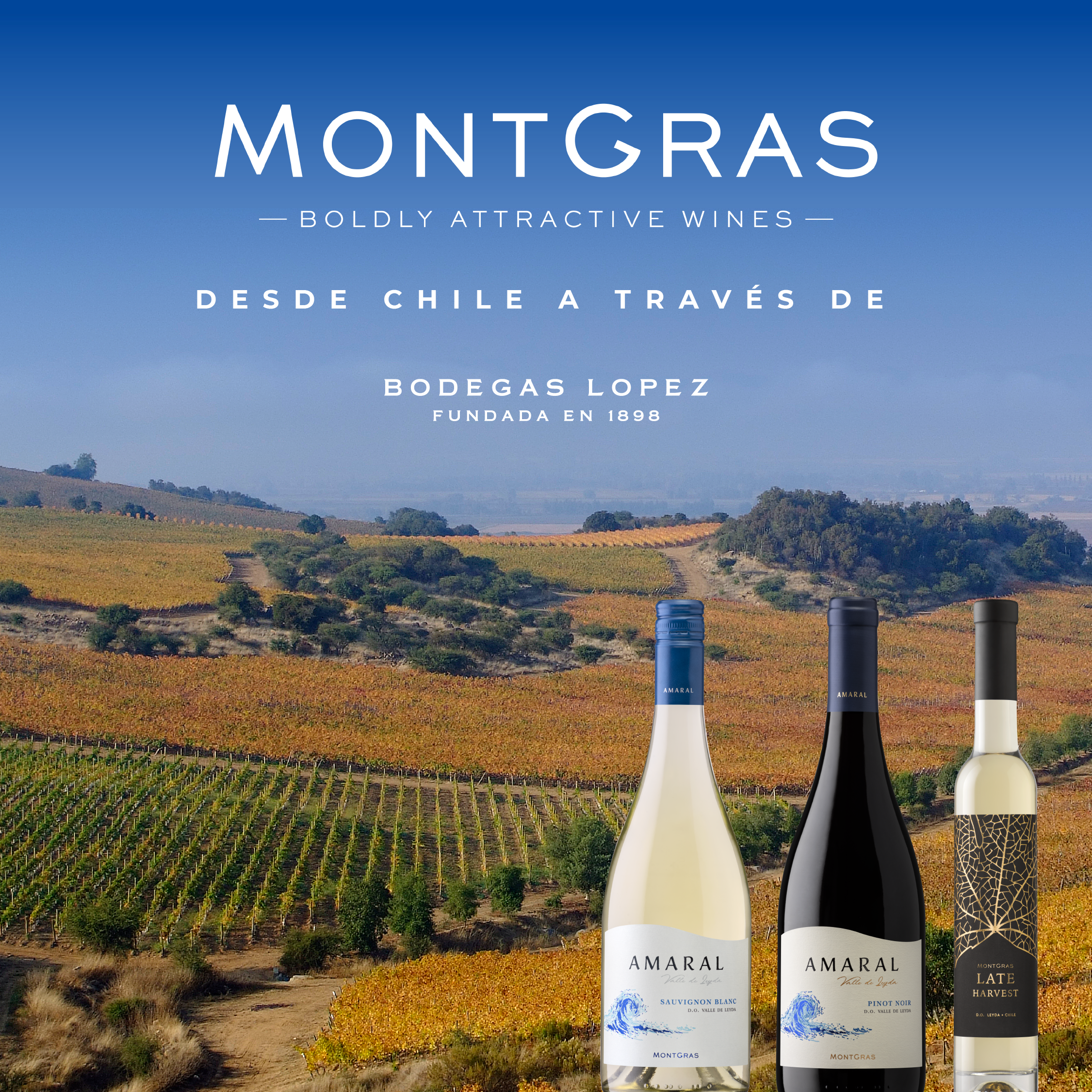 Desde Chile llega MontGras a través de Bodegas López