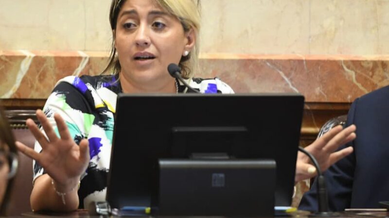 Gadano impulsa ley para blindar la Barrera Sanitaria Patagónica y exige explicaciones al SENASA