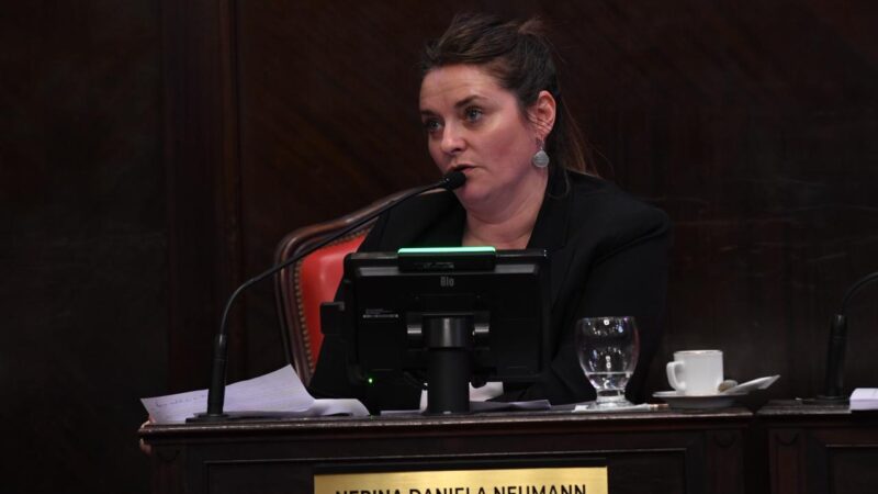 Senadora Neumann pide debatir Boleta Única y Ficha Limpia de cara a las elecciones de 2027