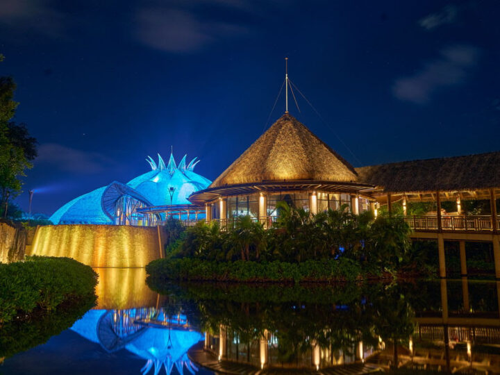 Cirque du Soleil JOYÀ deslumbra con la inauguración de su 12ª temporada en la Riviera Maya