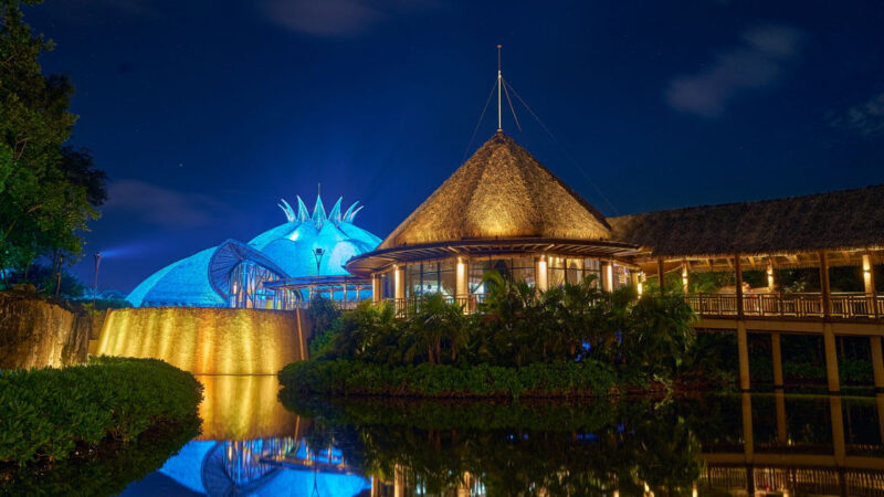Cirque du Soleil JOYÀ deslumbra con la inauguración de su 12ª temporada en la Riviera Maya