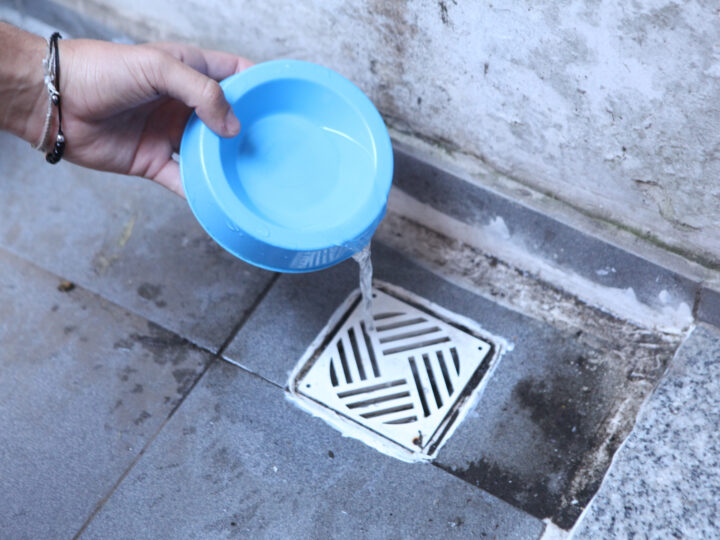 Solicitan reforzar el descacharrado  para prevenir el dengue