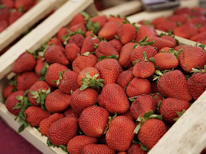 🍓 La Plata celebra la primera Fiesta de la Frutilla en Meridiano V