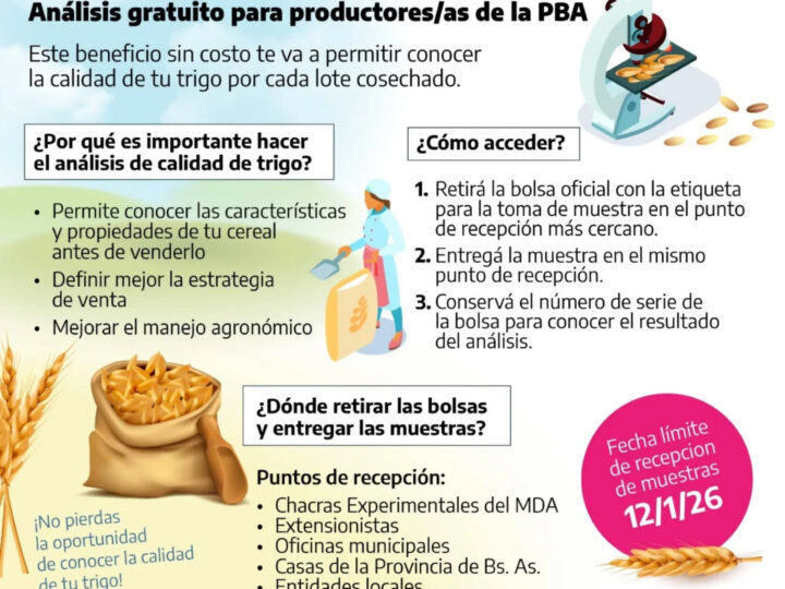 Trigo bonaerense: lanzan la 6ta edición del programa de análisis de calidad gratuito