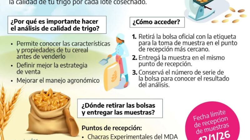 Trigo: lanzan la 6ta edición del programa de análisis de calidad gratuito