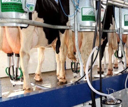 Récord histórico para la lechería argentina: 2025 cerró con las mayores exportaciones en 12 años