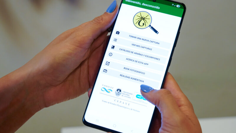 Alerta por alacranes en La Plata: medidas clave de prevención y primeros auxilios
