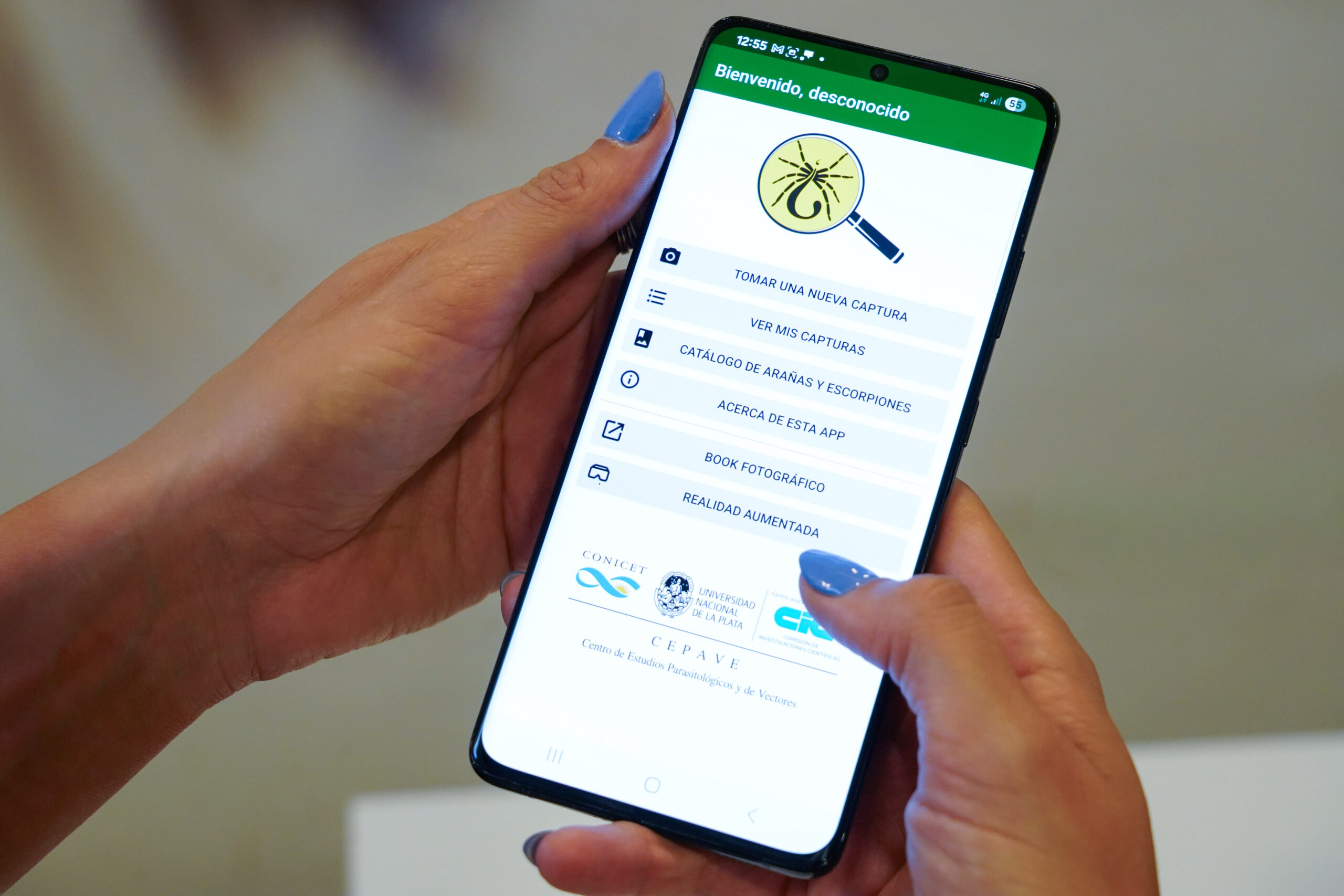 Alerta por alacranes en La Plata: medidas clave de prevención y primeros auxilios