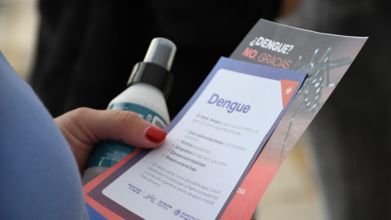 Guerra al Dengue: Alak intensifica la prevención en los barrios de La Plata