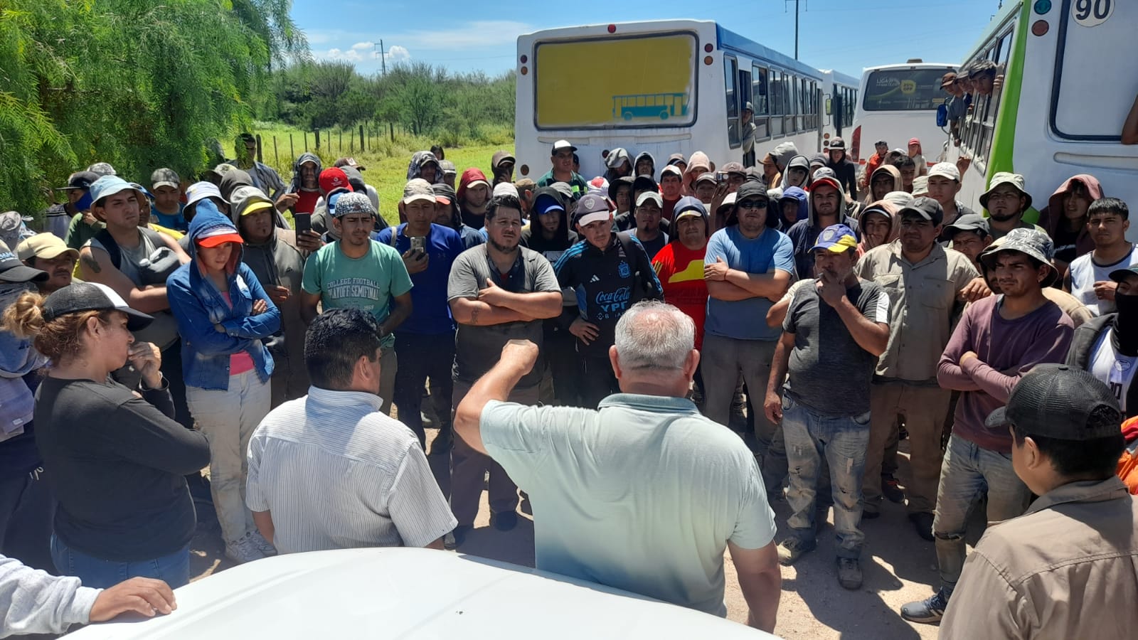 Tensión en el olivar: la paritaria de la aceituna entra en una fase crítica en el NOA