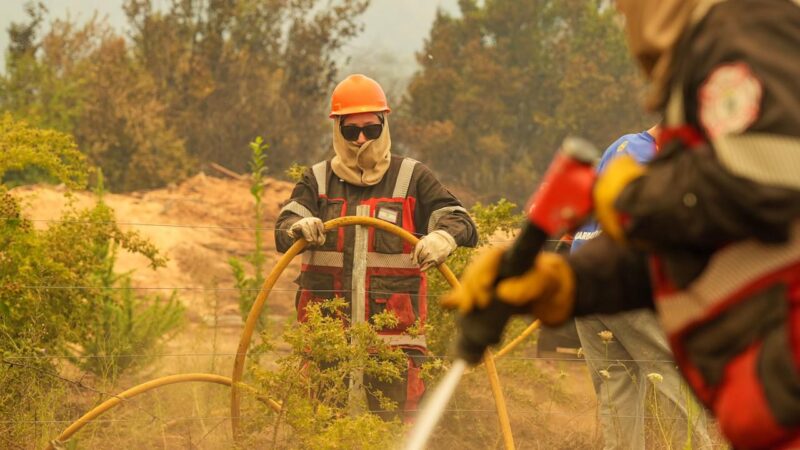 Emergencia en la Cordillera: Chubut despliega un megaoperativo para frenar el avance del fuego