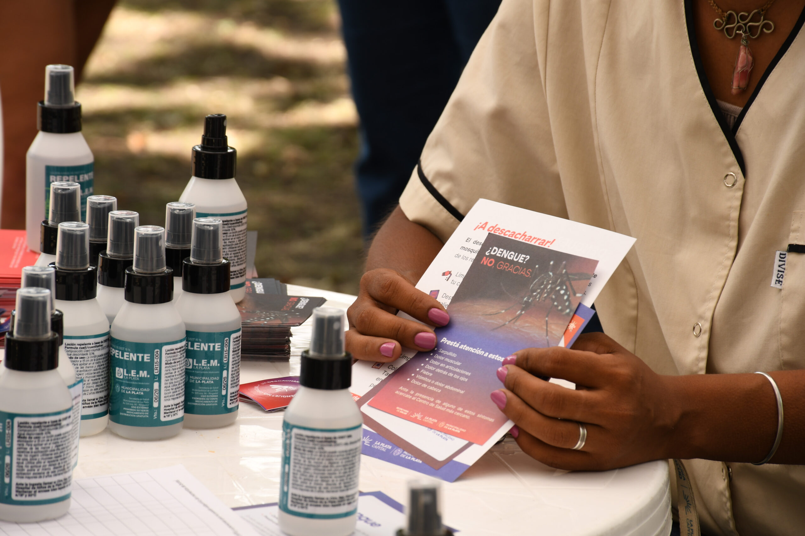 La Plata alerta: intensifican la campaña contra el dengue