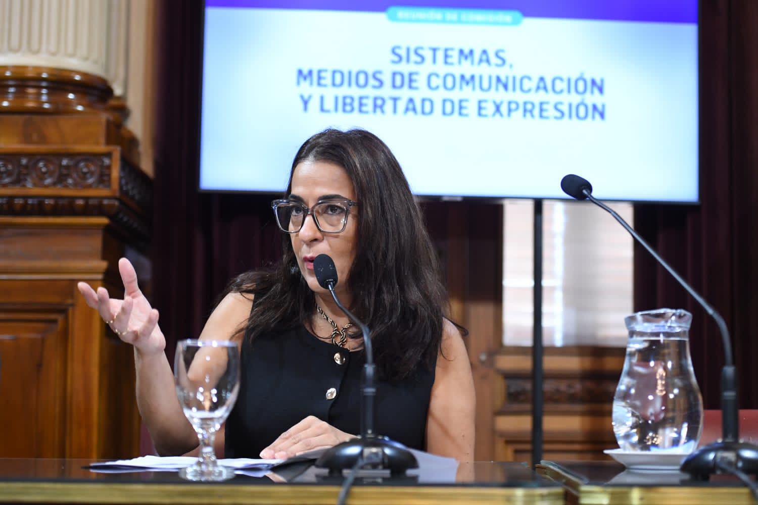 Carolina Moisés fue ratificada al frente de la Comisión de Sistemas, Medios y Libertad de Expresión del Senado