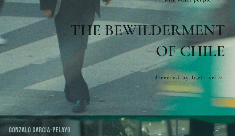 «The Bewilderment of Chile»: el universo inconfundible de Lucía Seles llega a las salas