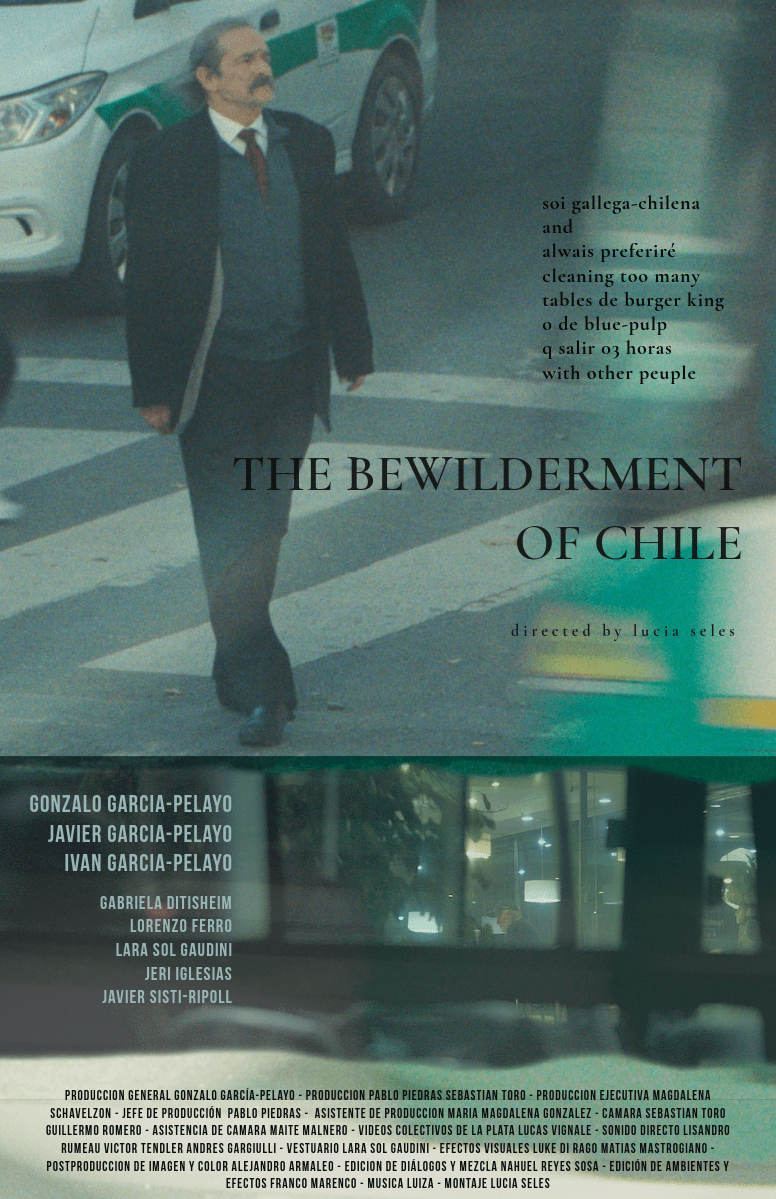 «The Bewilderment of Chile»: el universo inconfundible de Lucía Seles llega a las salas