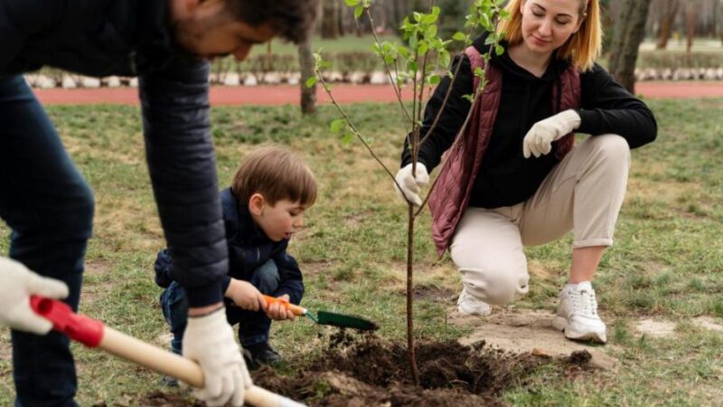 La UCALP lanza la segunda edición de su diplomatura inspirada en la encíclica «Laudato si’»