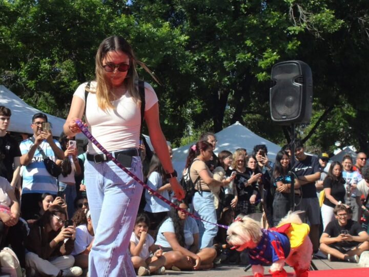 Domingo de mascotas en La Plata: vuelve el gran desfile solidario a Plaza Azcuénaga